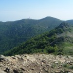 DSCF0585